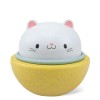 2 in 1 rocking roller - Kat (Geboortelijst ...)